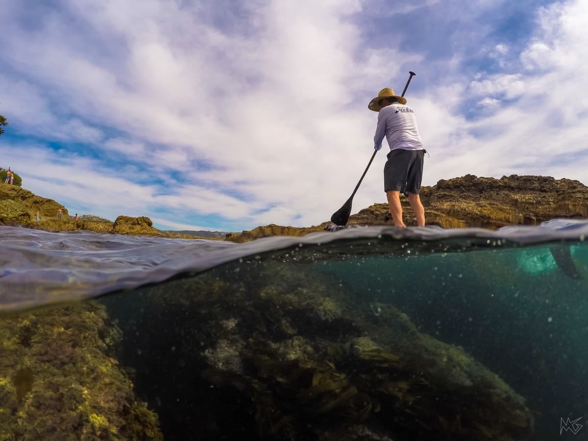 Person exploring tidepools